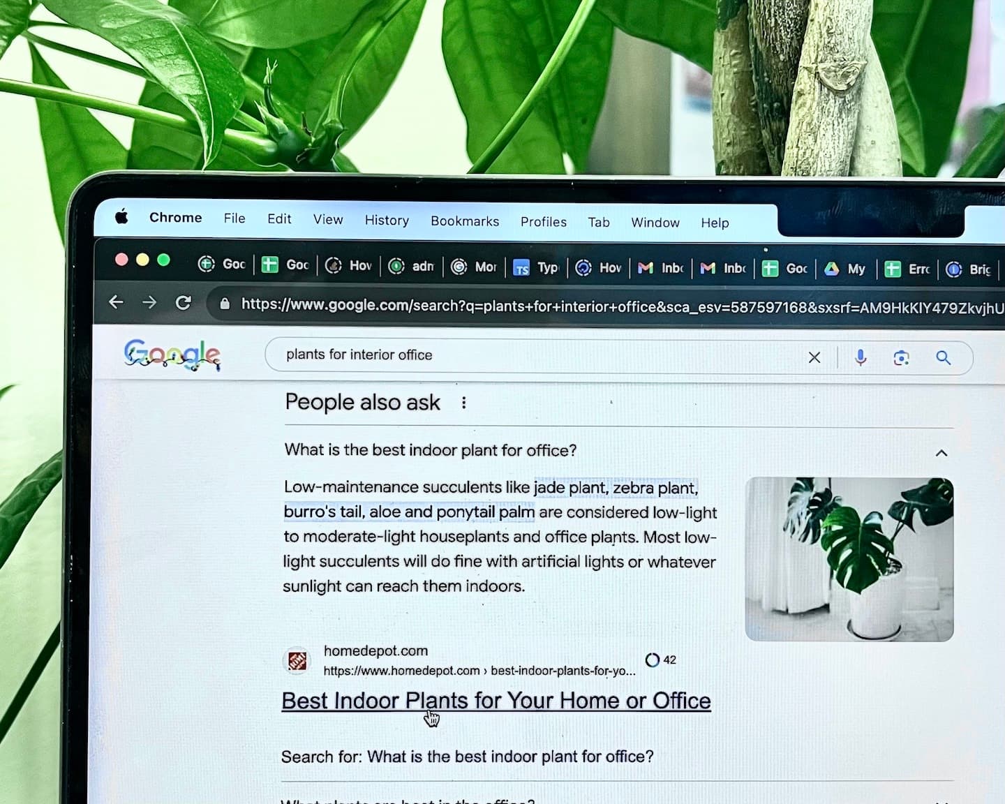 How to Extract People Also Ask Questions (PAA) from Google Search [Ultimate guide]